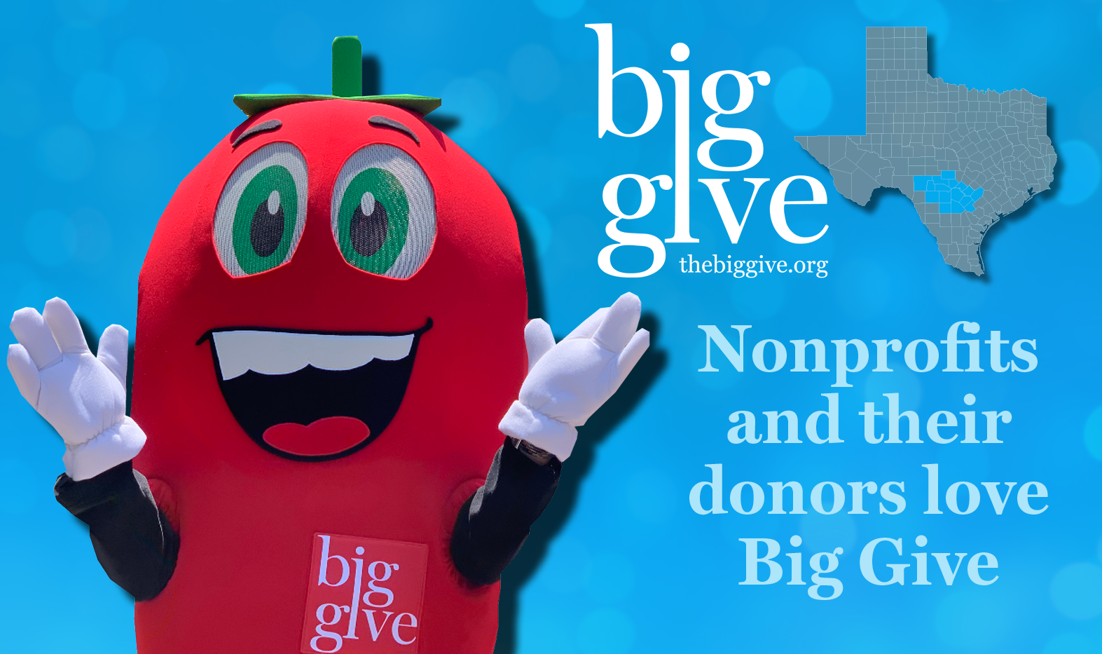 https://www.thebiggivesa.org/